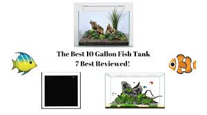 best 10 gallon fish tank 7 best 2024