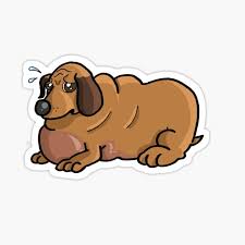 Browse 111 fat dog cartoon stock photos and images available, or start a new search to explore more stock photos and images. Cute Fat Dog Stickers Redbubble