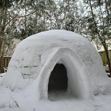 Retailing at $1,200, you can set up the igloo in your backyard or garden to use as a greenhouse. Igloo Building In The Backyard Bushcraft