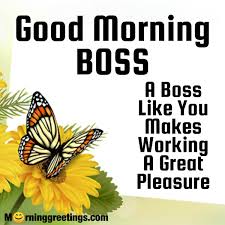 21 Great Good Morning Message For Boss Morning Greetings