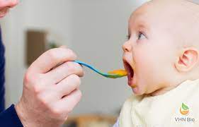 Thực đơn ăn dặm lý tưởng cho bé 6 tháng tuổi-Viện Dinh dưỡng VHN Bio