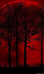 tree red black moon darkness darkness