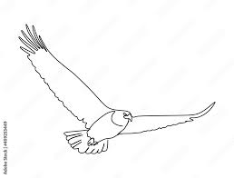 an eagle flying continuous one line