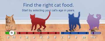Cat Age Calculator Food Suggestions Cheap Is The New Classy