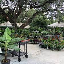 Austin Texas Nurseries Gardening