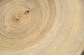 Wood Grain Texture Stock Photo Picture And Royalty Free Image