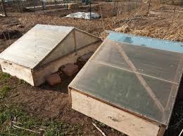 Growing Season With Cloches And Cold Frames