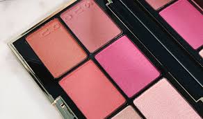 suqqu powder blush compact 101 the