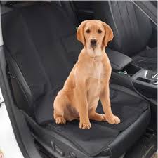 Kraptick Waterproof Front Seat Dog