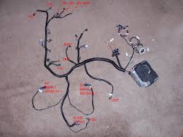 Unfortunately, our local yard does not sell wire harnesses; Wiring Information For 1998 To 2002 Camaro Firebird Ls1
