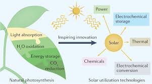 Solar Utilization Beyond Photosynthesis