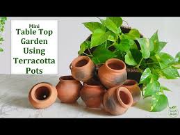 Terracotta Pots Gardening Ideas