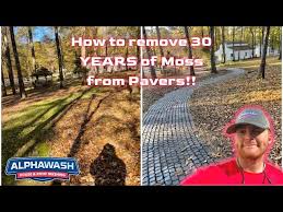 Moss How To Pressure Wash Pavers