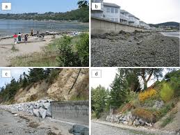 Losses On Beaches In Puget Sound