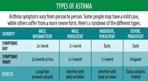 Asthma Anatomy System Human Body Anatomy Diagram And