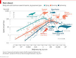 Why Biggest Isnt Fastest In The Animal Kingdom Daily Chart