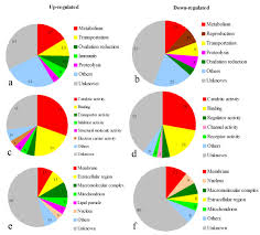 Pie Chart Representation Of Gene Ontology For Genes