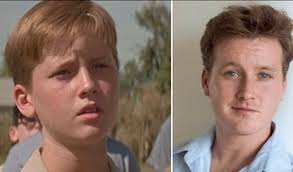 Sandlot' actor Tom Guiry arrested and charged with felony assault ...