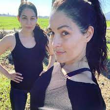 nikki and brie bella say they re on a