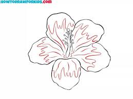 how to draw a hibiscus flower step by