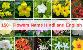 150 flowers name