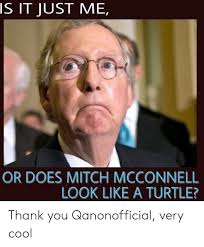 Because his head protrudes from overly tight collared shirts in much the same way that a turtle's head protrudes from its body. Is It Just Me Or Does Mitch Mcconnell Look Like A Turtle Thank You Qanonofficial Very Cool Thank You Meme On Me Me