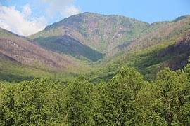 Mount Le Conte Tennessee Wikivisually