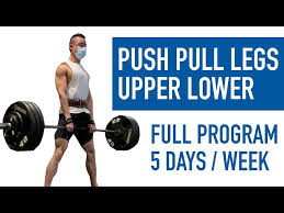 best full science based push pull legs