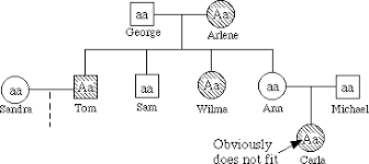 Ap Genetics Solutions Biology Junction