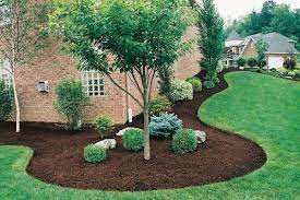 Benefits Of Mulch In Flower Beds