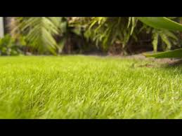 how to lay artificial lawn mitre 10