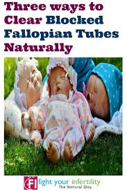 Check spelling or type a new query. Three Ways To Clear Blocked Fallopian Tubes Naturally