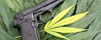 This article will cover the top 5 reasons you should get a medical marijuana card. Can You Own A Gun And Have A Medical Marijuana Card Hogan Hogan Law Firm