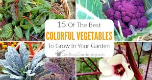 15 colorful vegetables to grow in your
