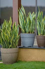 Best Rotomolded Pots Manufacturers