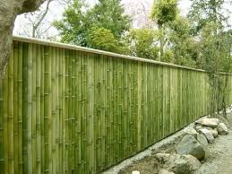 Bambu dan kayu adalah contoh bahan organik. Lingkar Warna 60 Inspirasi Desain Pagar Dari Bambu