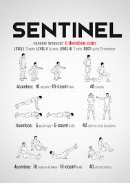 Sentinel Workout