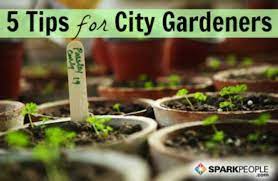 5 Gardening Solutions For Urbanites