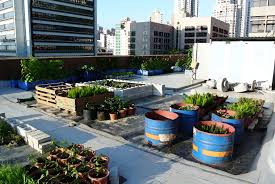 What Is Urf Urban Rooftop Farming