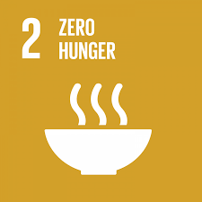 End hunger | International Partnerships