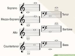 Vocal Singing Ranges Surprisingly Small Differences