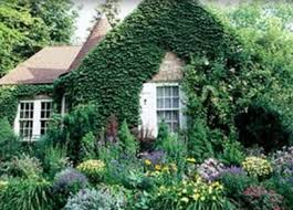 Erfahren sie mehr zur gestaltung eines englischen gartens. Cottage Garten