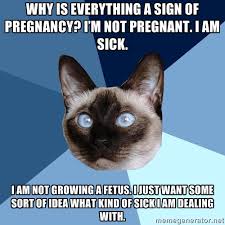 Friday 5 December 2014 Meme Images « Chronic Illness Cat via Relatably.com