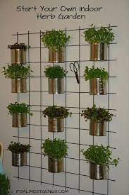 Indoor Herb Garden Herbs Are Small And