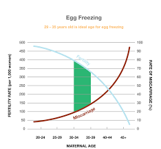 Fertility Facts Egg Q