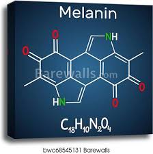 melanin molecule structural chemical