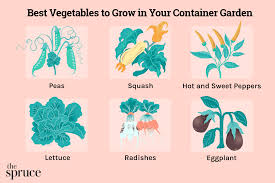 10 container vegetable garden ideas