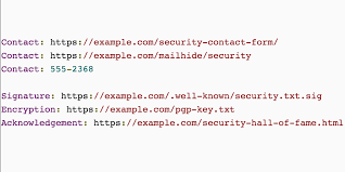 add security txt to your site