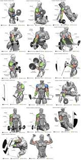 12 Best Bicep Workout Women Images Workout At Home