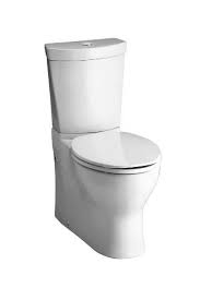 Sleek Bathroom Toilet Dual Flush Toilet